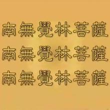 南无觉林菩萨