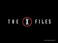 x file